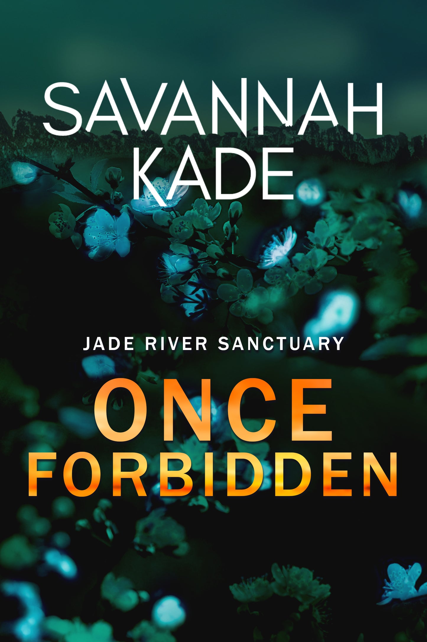 Once Forbidden - Ebook